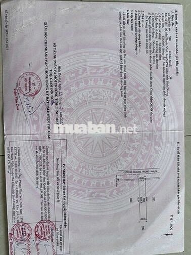 Cần bán đất nền khu trung tâm thị trấn Phước Vĩnh