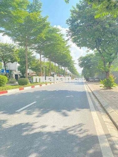 BÁN NHÀ PHỐ HOÀNG QUỐC VIỆT DT44/47 M x5 Tầng  phân lô