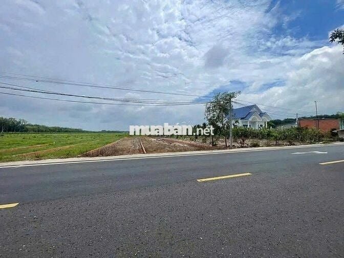 Lô đất sào có sẵn thổ cư, 1055,1m2 giá 725tr SHR, Bình Dương.