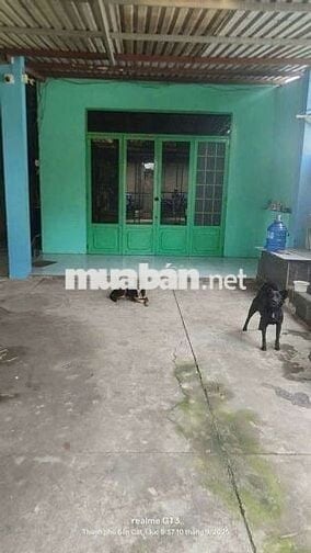 nhà phú an .6 x 42 . đường pê tông.100m thổ cư