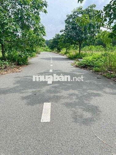 bán gấp đất thổ cư 100% An Viễn gần khu công nghiệp