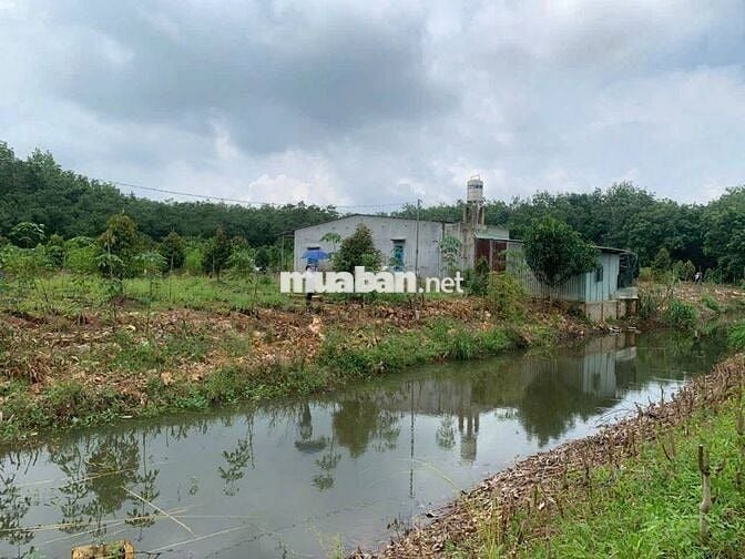 1,6 sào có vài cây Sầu, hơn 70m suối bao quanh. Rất gần Quốc lộ 13C