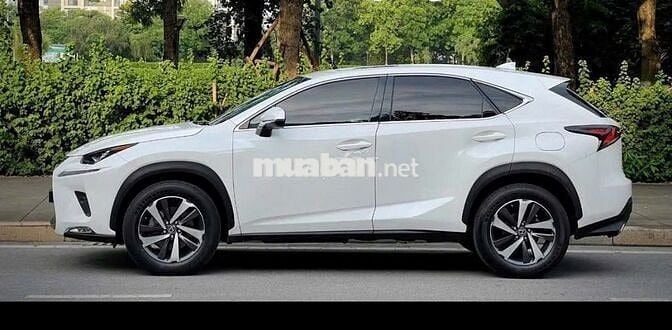 Lexus NX300 2019 màu trắng-5v