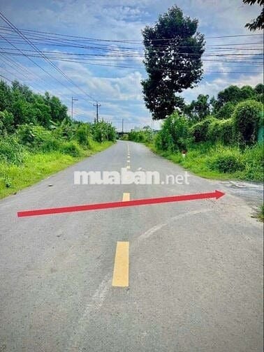 Đất sổ riêng thổ cư Phường Tân Triều