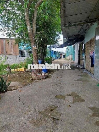 Bán nhà hoặc cố nhà 57m2 CHÍNH CHỦ KHÔNG QUA CÒ LÁI