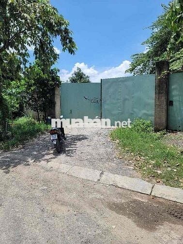 TÔI CHÍNH CHỦ KẸT TIỀN CHO CON DU HỌC 90m2 GPXD 7 Tầng HXH THÔNG 5TỶ5