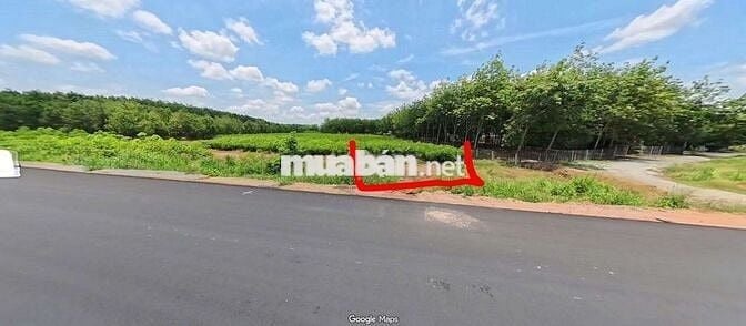 Bán  đất 1000m2  mặt tiền đường Hồ Chí Minh, xã Trừ Văn Thố, TP HCM