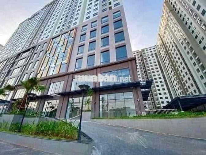 SHARE PHÒNG CHUNG CƯ CAO CẤP GIÁ RẺ