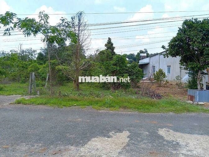 ĐƯỜNG NHỰA, CHỦ NGỘP CẦN BÁN, CHỦ MUA 2TY6, NAY BÁN CẮT LỖ 1TY750