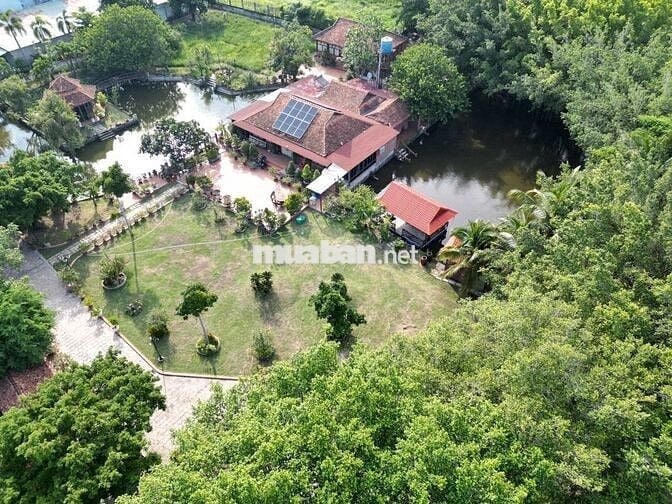 Bán 10000m2 Đất - Bình Chánh - Sẵn Nhà Vườn - Nghĩ Dưỡng - Giá Đầu Tư