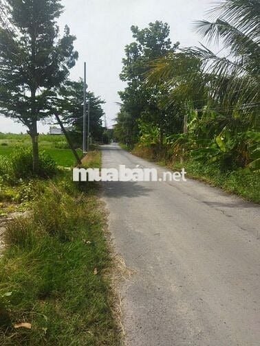 đất 2 mặt tiền 19/5 Tân Lân - full thổ