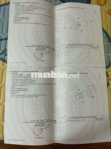 Bán Nhanh Đất MT đường An Phú 4 An Hoà Trảng Bàng TN  Giá 1ty150/221m2