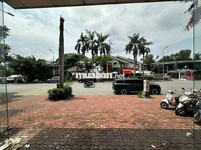 Cho Thuê Nhà 8x12m Mặt Tiền Kinh Doanh Đường Trần Trọng Cung