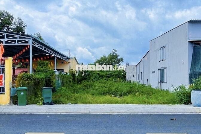 Đất Nở Hậu (9mx31m)MT 12m, Full Thổ Cư giá 1ty6, Tân Thông Hội, Củ Chi