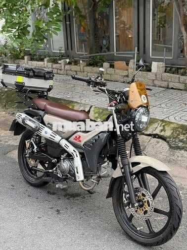 Yamaha Pg1 2024