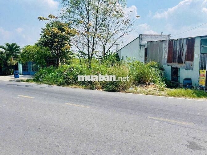 Chủ cần bán gấp lô đất 500m2 980triệu Nguyễn Kim Cương, Tân Thạnh Đông