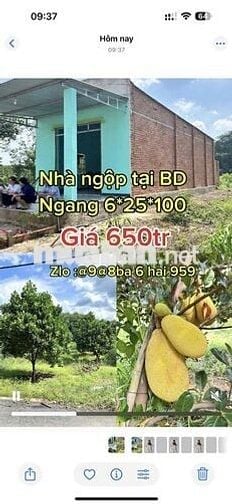 Ngộp đất tặng nhà cấp 4 mới xây được vài tháng