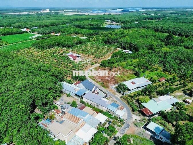 Bán đất 250m² sẵn thổ cư ở ngay KCN Minh Hưng Sikico
