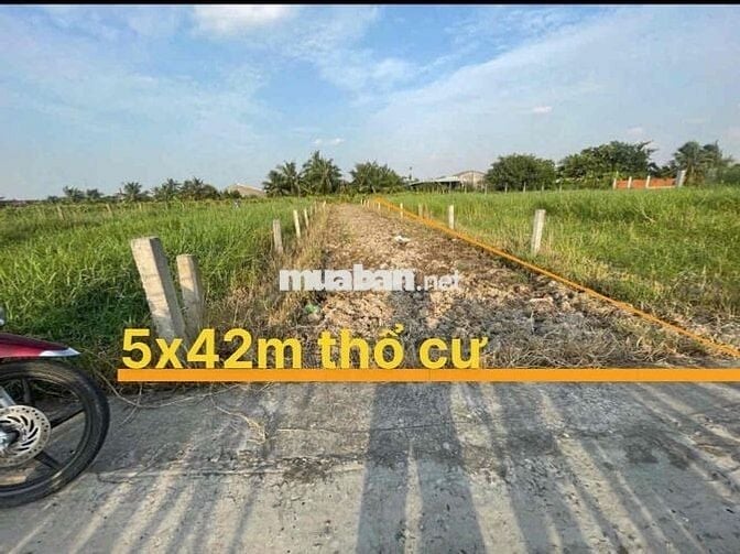 Ban 5x42 m thồ cư  đường đan thông thoáng gần công ty may Đại Lục