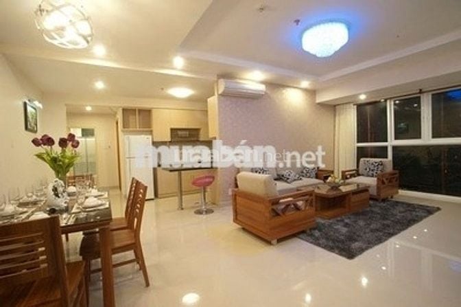 Cho thuê khu căn hộ Chánh Hưng - Giai Việt, 115m2, 2PN, NTCB