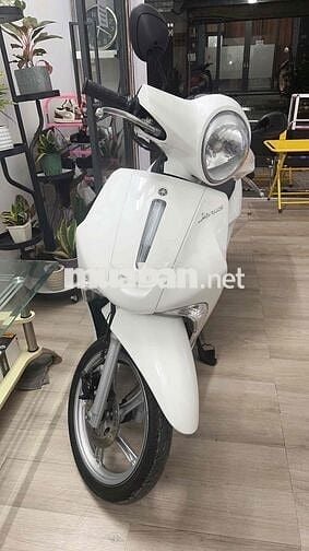 xe nhà chạy. màu trắng hơn Ngọc Trinh í.