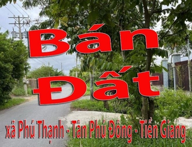 Bán Đất : xã Phú Thạnh - Tân Phú Đông - Tiền Giang. dt:10,9x25m~270m2