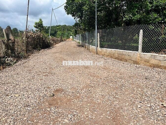Cần bán nhanh lô đất vườn 1000m² tại Thống Nhất, Đồng Nai.