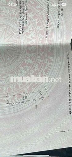 Thôn Hội Phụ Đông Hội Đông Anh Hà Nội  Lô đất có diện tích 104m² pháp