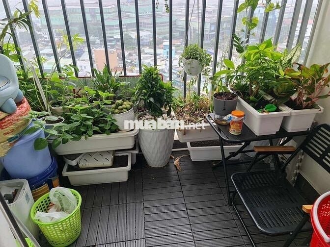Căn hộ Splus Riverview Vĩnh Phú 38 2PN đầy đủ nội thất giá 1.6 tỷ
