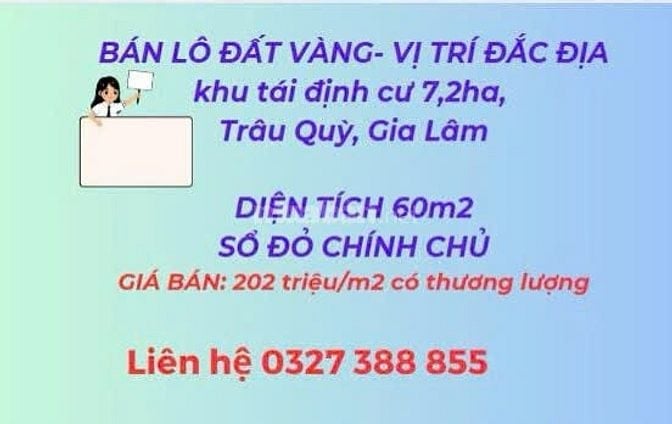 Cần bán lô đất vàng chính chủ khu tái định cư 7,2 Ha Trâu Quỳ, Gia Lâm