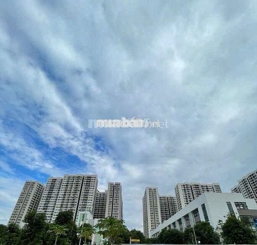 ĐẤT AN DÀO , ĐƯỜNG THÔNG VINHOMES CỰC ĐẸP