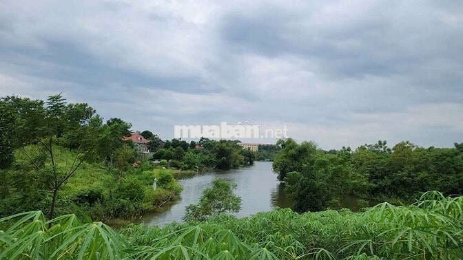 Cắt lỗ lô đất bám Hồ, tay chạm nước chân núi Ba Vì
