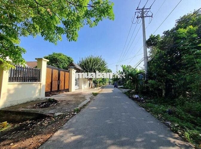 CHỦ XOAY TIỀN LẤY HÀNG, GỬI BÁN LÔ ĐẤT TƯỜNG RÀO KIÊN CỐ 261M2, SHR!