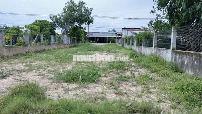 Lô đất có tiềm năng ngay tại Tân Phú Trung với giá siêu sập 480tr