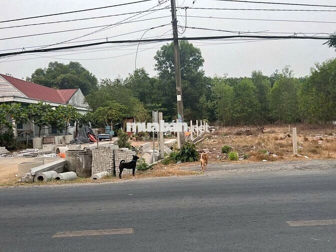135M2 MẶT TIỀN NGUYỄN THỊ RÀNH AN NHƠN TÂY CỰC KÌ SẦM UẤT PHÁT TRIỂN