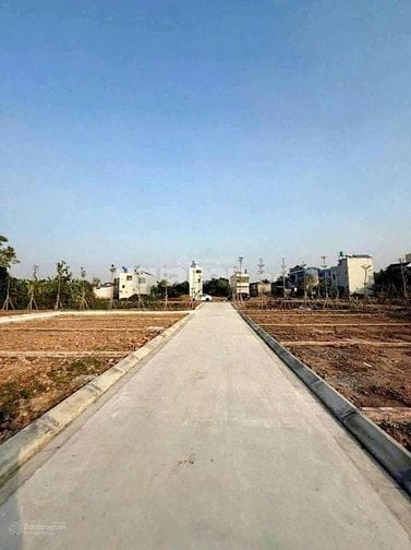 Chính chủ bán đất tại Thạch Thành Thanh Hoá