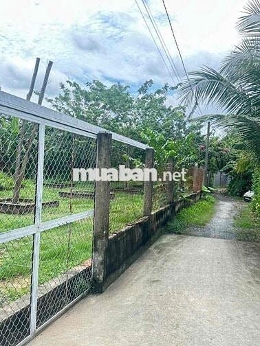 BÁN ĐẤT Xã BÌNH CHÁNH  full Thổ 121m2 Đất ONT
