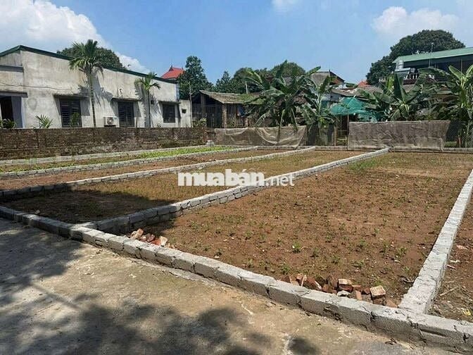 💥 SIÊU ĐẸP ĐẤT duyên yết - hồng thái - phú xuyên - Hà Nội 👉 Ô TÔ VÀO
