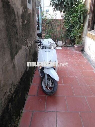 Thanh lý xe Lead 110cc, nguyên bản, Xe cá nhân.