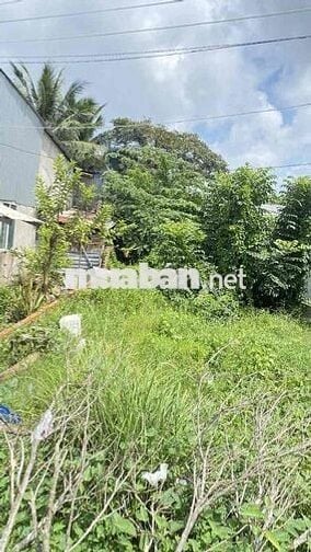 Bán đất thổ cư 100% trung tâm Trà Kha, phường 8, TP Bạc Liêu