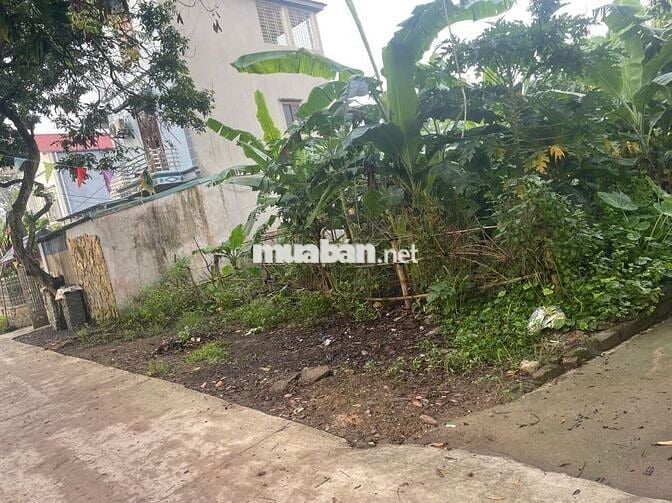 🔥 ĐẤT ĐẸP 2 MẶT TIỀN – 430m² Cao Viên, GIÁ CHỈ 3,5 TỶ! 🔥