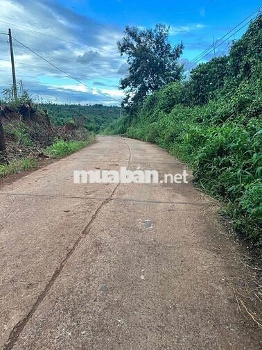 TRỤC CHÍNH - Thôn 6 - Cư Êbur thông qua Y Moal __ DT: 10m x 60m