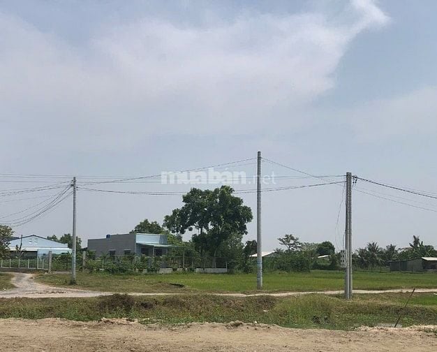 Nhà vườn 1800m2, 2 PN, nội thất cơ bản, xã Hoà Khánh Đông, Đức Hòa cũ 