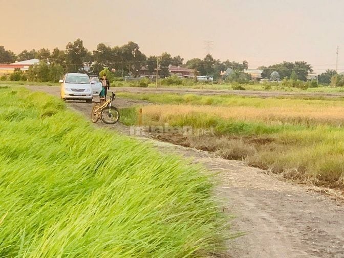 Bán 1749m2 đất, thuộc Tân Phú Trung xã Củ Chi..