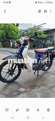 CUB 50cc cho học sinh