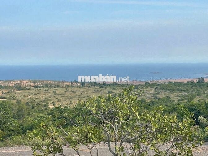 Bán đất view biển Mũi Né đối diện Marina – ngắm bình minh, hoàng hôn