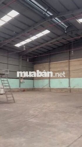 Kho diện tích lên đến 500m2 cần cho thuê gấp ở Đào Trí đường xe cont