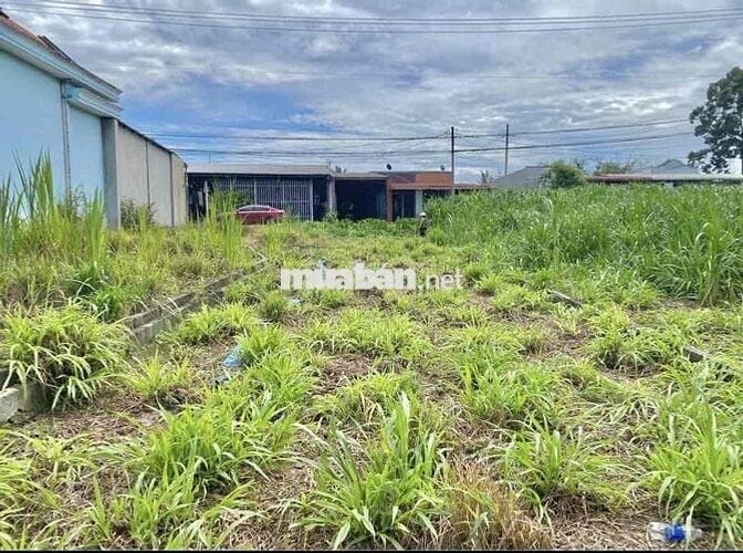 🏡 CHÍNH CHỦ CẦN BÁN ĐẤT ĐẸP – TÂN PHÚ TRUNG, CỦ CHI 🏡