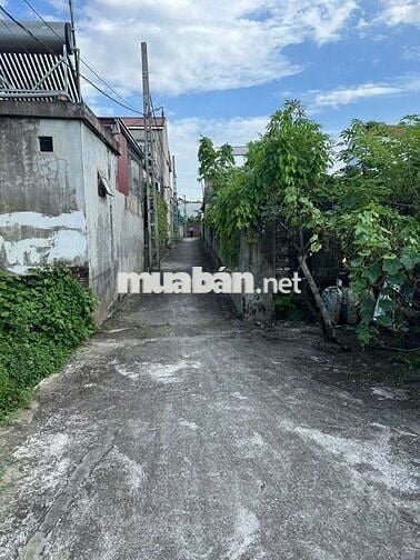 💥 ĐẤT TRUNG LẬP- TRI TRUNG - PHÚ XUYÊN - HÀ NỘI 
🎄 Diện tích: 48,5m