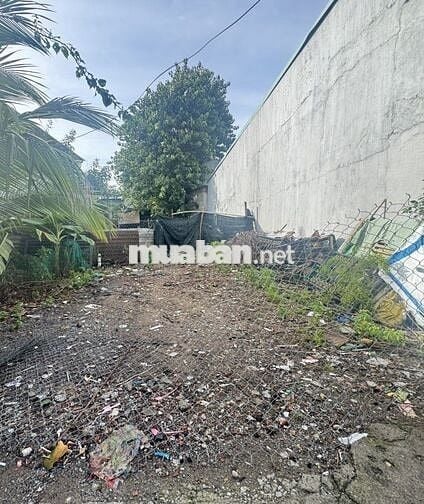 BÁN ĐẤT SIÊU ĐẸP THỔ CƯ 126M2 PHƯỜNG AN BÌNH BIÊN HÒA